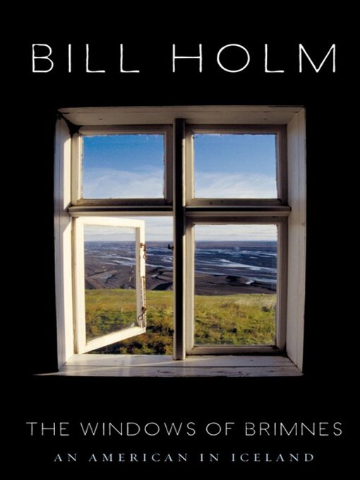 Cover image for The Windows of Brimnes